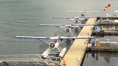 Hydroplanes And Windsock At The Dock Stock Footage 196846295