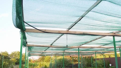 Hydroponic automatic watering system, under artificial shade from a green awning Stock Footage 114001751