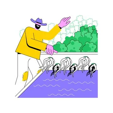 Hydroponic farm isolated cartoon vector illustrations. Stock Illustration