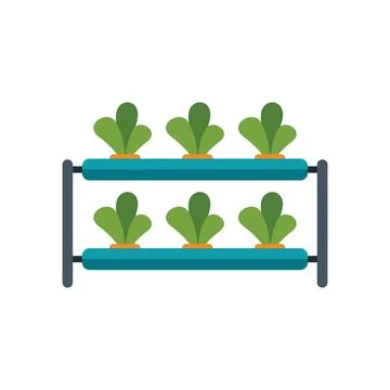 Hydroponic farming system growing plants using mineral nutrient solutions Stock Illustration