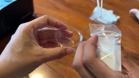 Hydroponic Garden System 스톡 동영상 326227164