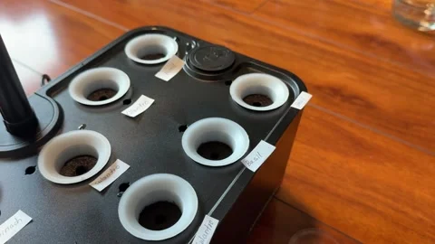 Hydroponic Garden System 스톡 동영상 326227246