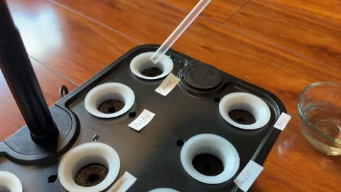 Hydroponic Garden System Video stock 326227437