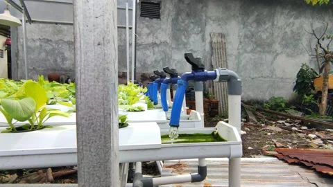 Hydroponic irrigation system Stock Footage 197390094