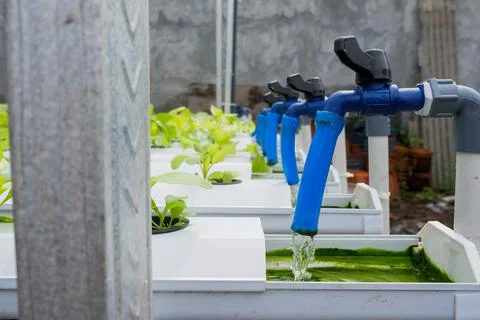 Hydroponic irrigation system Stock Photos
