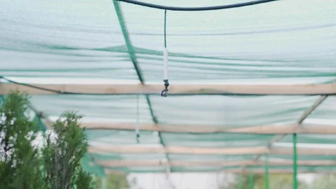 Hydroponic system in a small business in rural areas at work. Vídeos de archivo 113860729