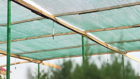 Hydroponic system used automatically outdoor. Environmentally friendly Stock Footage 113864314