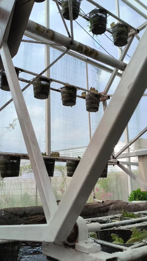 Hydroponic Vegetable Cultivation with Water Wheel System Vídeos de archivo 334638892