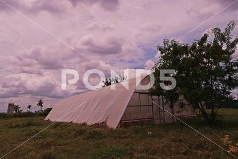 Hydroponic vegetable culture in greenhouse water evaporation, Thailand Stock Photos