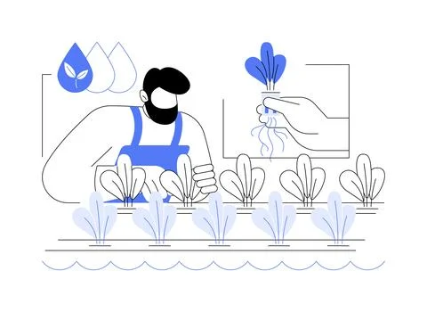 Hydroponics abstract concept vector illustration. イラスト素材