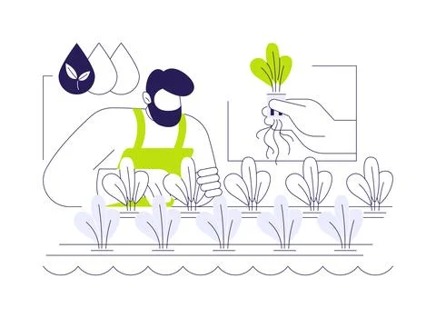 Hydroponics abstract concept vector illustration. 스톡 일러스트