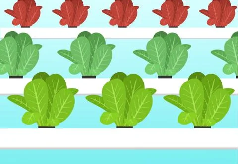 Hydroponics plants farm in flat vector cartoon Stock Illustration