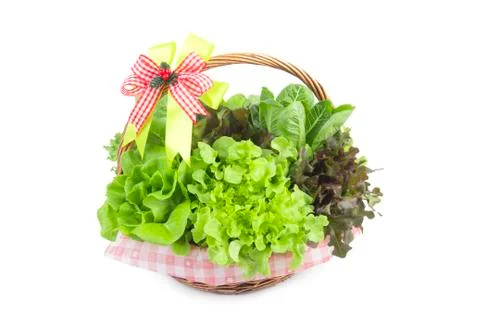 Hydroponics vegetable Stock Photos