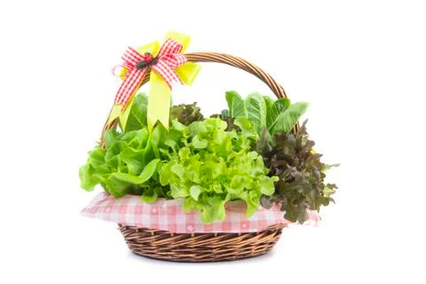 Hydroponics vegetable Stock Photos