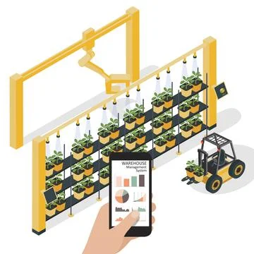 Hydroponics, vertical farm. Isometric vector illustration Stock Illustration