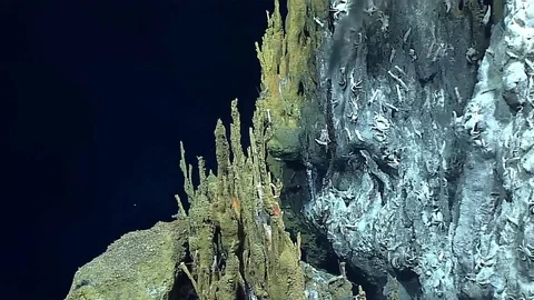 Hydrothermal Vent, Marianas Trench Stock Video Pond5