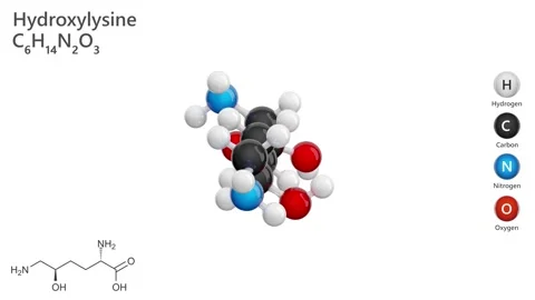 Hydroxylysine. 3D model of a molecule.C6H14N2O3. White background. 3D render Stock Footage 288852547