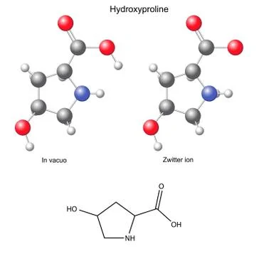 Hydroxyproline (Hyp) - chemical structural formula and models Stock Illustration