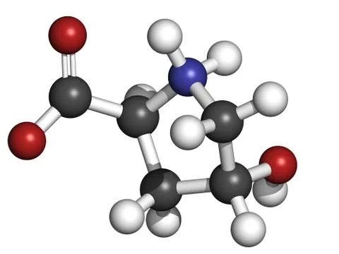 Hydroxyproline (hyp) collagen building block, molecular model Stock Illustration