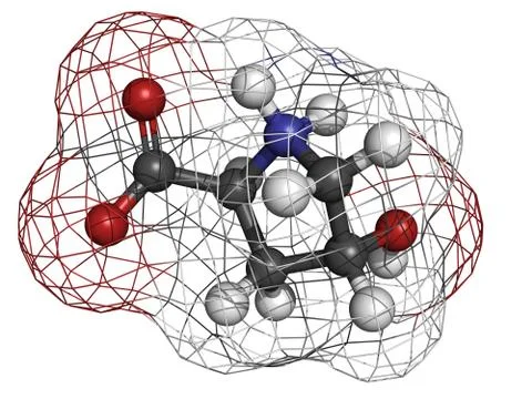 Hydroxyproline (hyp) collagen building block, molecular model Ilustración de archivo