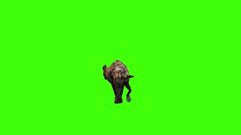 Hyena 3D fast run back view loop on chro... | Stock Video | Pond5