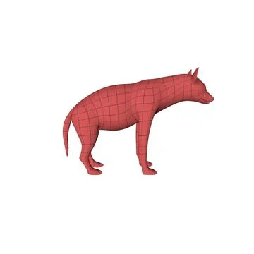Hyena base mesh 3D Model
