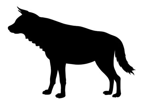Hyena Stock Illustration