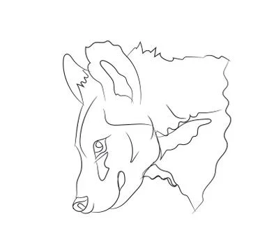 Hyena portrait, lines, vector Stock-Illustration