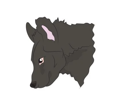 Hyena portrait, vector, Stock Illustration