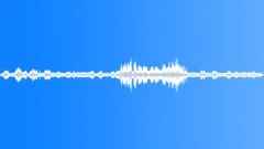 Hyenas call attack Sound Effect