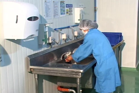 Hygiene  Stock Footage 146751