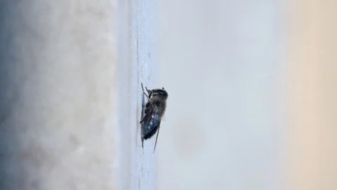 Hygiene Stock-Footage 127769803