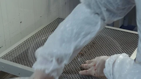 Hygiene, Part Of, Human Hand, Working, Indoors, Day, Close-Up, Lockdown, 10 스톡 동영상 94097008