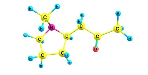 Hygrine molecular structure isolated on white Stock Illustration