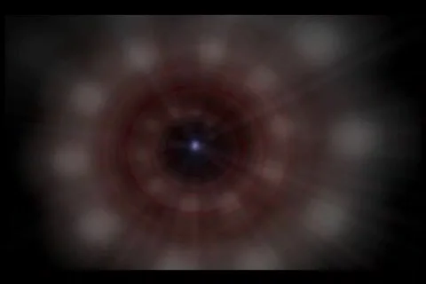 Hyno Stock Footage 219049