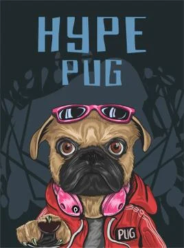 Hype style pug dog wear red jacket, sweeter, sunglasses, headphone, serious l Stock Illustration