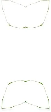 Hyper Complex Gradient Soft Shape Clean Abstract Rounded Shapes for Brandin.. Stock Illustration