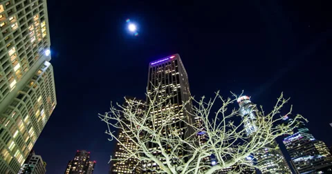 Hyper-Lapse around a tree Stock Footage 35761560