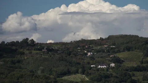 Hyper lapse of beautiful landscape view of green conifer tree on grassy hill Video stock 142098232