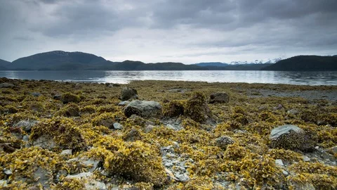 Hyper-lapse of clouds floating over a beach at low tide Stock Footage 113262684