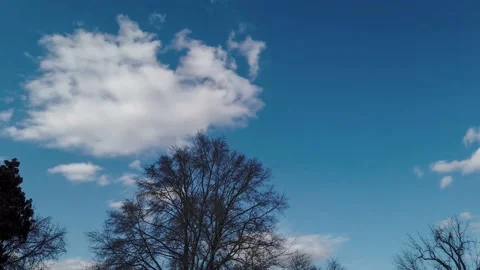 Hyper lapse of clouds moving by over trees during the day Stock Footage 171134888
