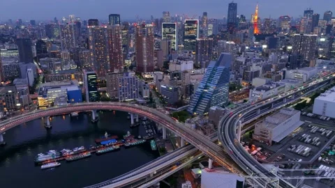 Hyper lapse of downtown Tokyo at night, busy streets of Japanese metropolitan 스톡 동영상 219116590