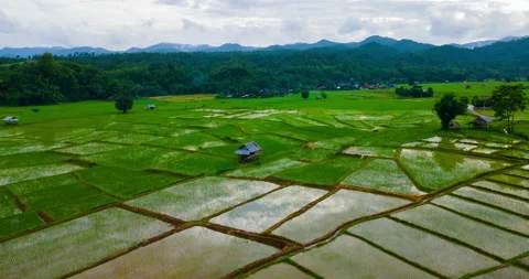 Hyper lapse over the rice fields during evening with rain clouds Stock Footage 159079667