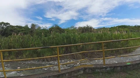 Hyper lapse of walk in natural park with green trees on path. 動画素材 338203914