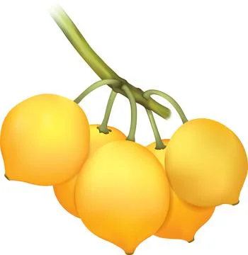 Hyper realistic vector illustration of garcinia brasiliensis bacupari fruit Stock-Illustration