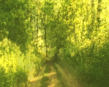 Hyper wood 動画素材 851552