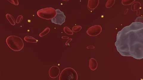 Hypercalcemia is a condition in which the calcium level in your blood is above Stock Footage 244525386