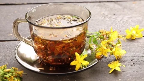 Hypericum perforatum commonly known as St John's wort, perforate St John's wort. Stock Footage 280296047