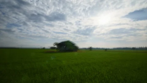 Hyperlapse of abandoned house in the middle of meadow/paddy field Stock Footage 105984275