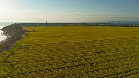Hyperlapse - Aerial view of scenery over Germany's largest island Rügen Stock Footage 341756300
